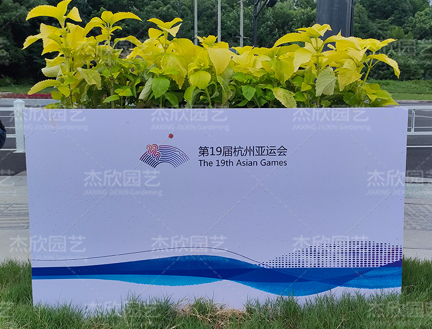 亞運(yùn)核心圖形花箱潤澤花箱